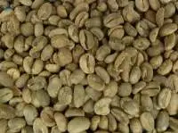 Arabica Coffee Indonesia