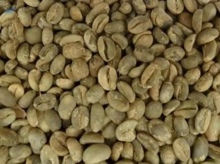 Arabica Coffee Indonesia