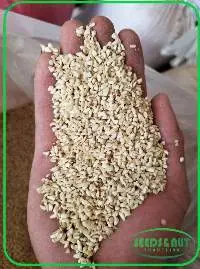 BB1 Cashew Nut