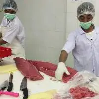 Loin Tuna Yellow Fin And Big Eye