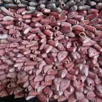 Parrot Fish, Grouper Fish, Red Snapper