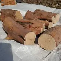Firewood (Fire logs)