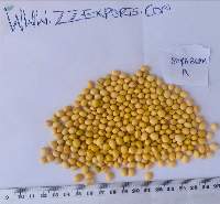 Soybeans