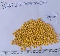 Soybeans