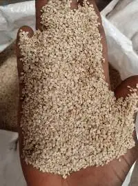 Sesame Seed (Natural)