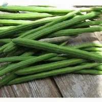 Drumstick Moringa Powder
