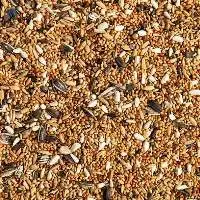 Quail Feed