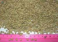 Chickpeas