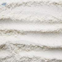 Wheat Flour