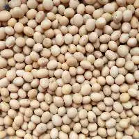 Soybeans