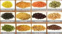 Cereals, Seeds, and Pulses