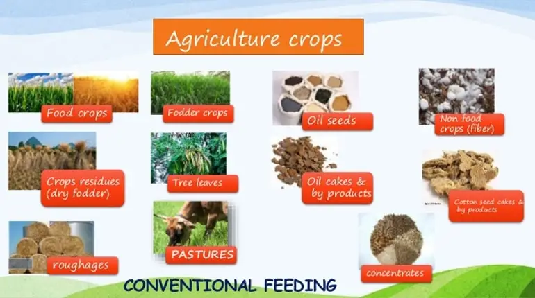 Fertilizer, Feed & Fodder