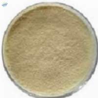 Insulin Leaf Powder Pure (Costus Pictus)