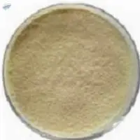 Insulin Leaf Powder Pure (Costus Pictus)