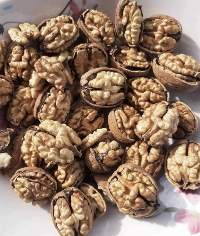 Walnuts