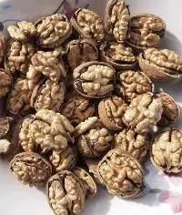 Walnuts