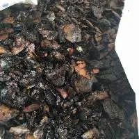 Cashew Nut Shell Extraction
