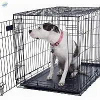 36x23 Folding Metal Dog Crate