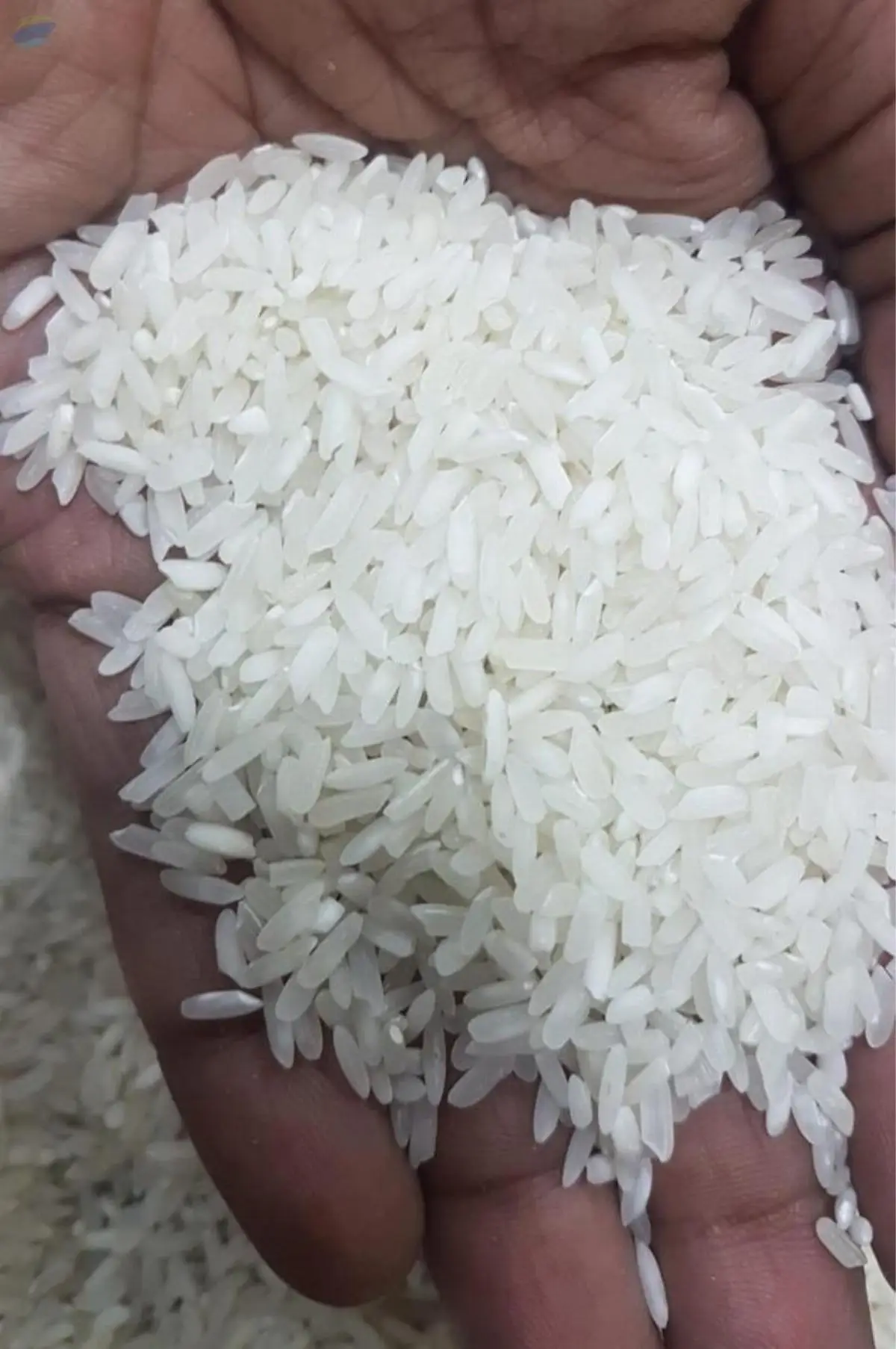 Long Grain White Rice