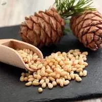 Pine Nuts