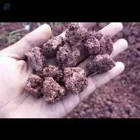 Red Rock Lava (Red Scoria)
