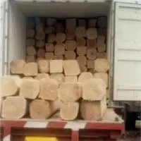 Gmelina In Log