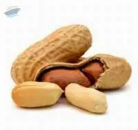 Peanuts