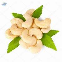 Cashew Nuts