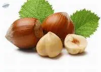 Hazelnuts