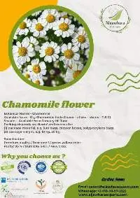 Chamomile Flower