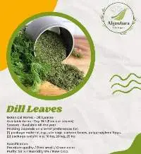 Dill Leaves