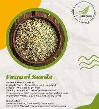 Fennel Seeds