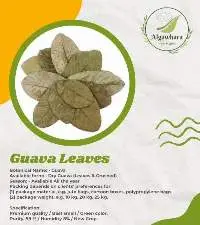 Guava Leaves