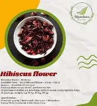Hibiscus Flower