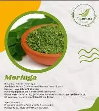 Moringa Tea