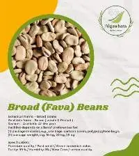 Broad Beans