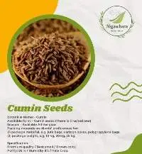 Cumin Seeds