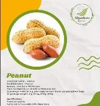 Peanut