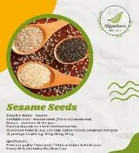 Sesame Seeds