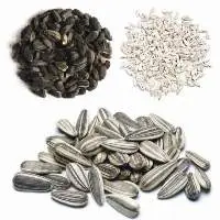 Sunflower Seeds