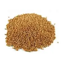 Sorghum