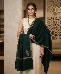 Premium Quality Pashmina Kashmiri Shawls
