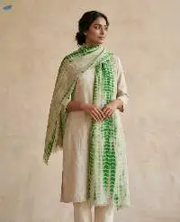 Premium Quality Pashmina Kashmiri Shawls
