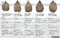 Hay Net Size Chart