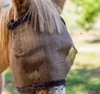 Fly Veil