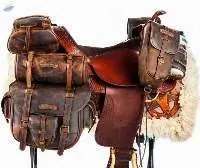 Saddle Bags