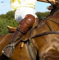 Polo Knee Guards