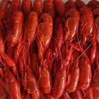 Cooked Frozen Crayfish