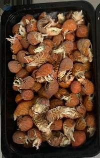 Cooked Frozen Crayfish Tail