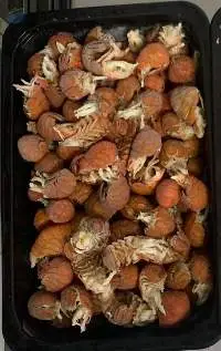 Cooked Frozen Crayfish Tail